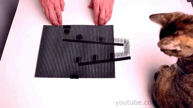 Print It Yourself Cool Moving Optical Illusions Geekologie