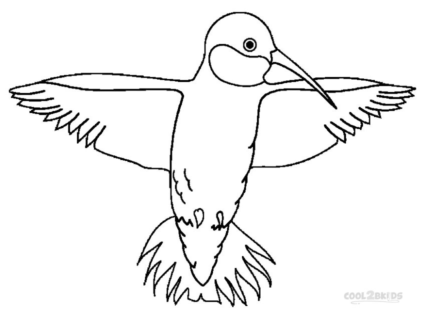 Printable Hummingbird Coloring Pages For Kids