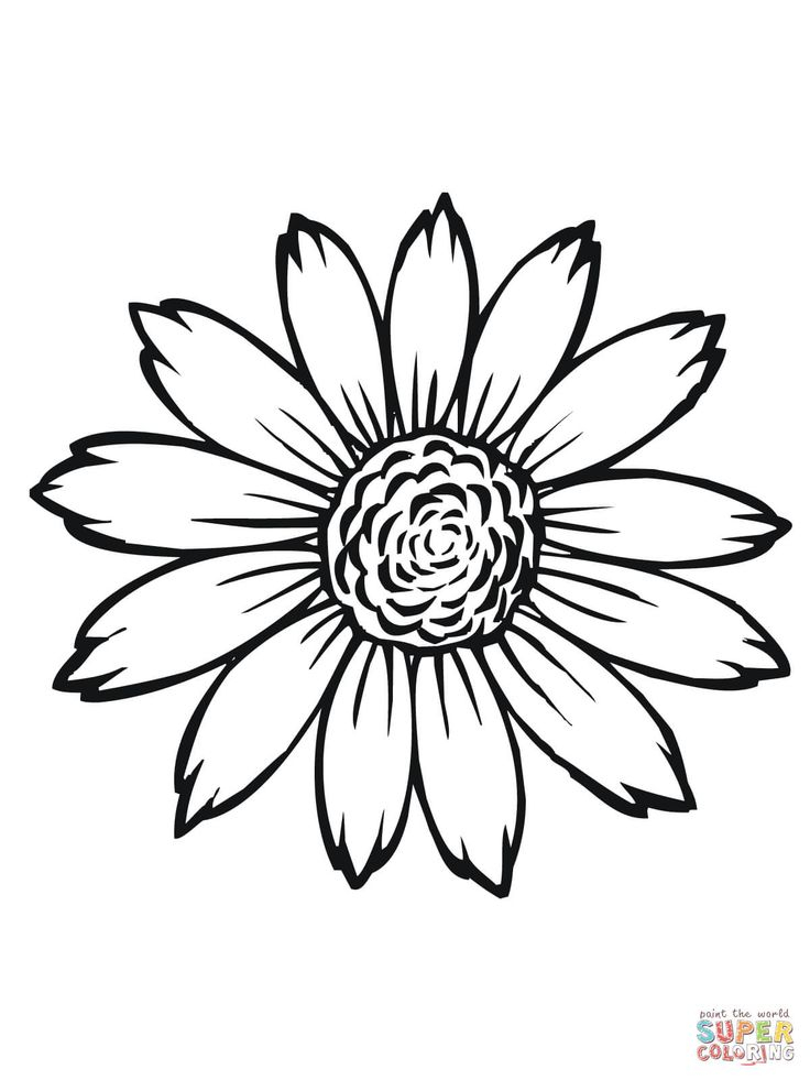 Sunflower Flower Coloring Pages Printable Sketch Coloring 