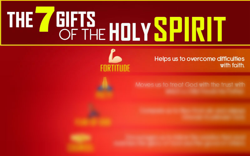 The 7 Gifts Of The Holy Spirit Every Catholic Needs To 