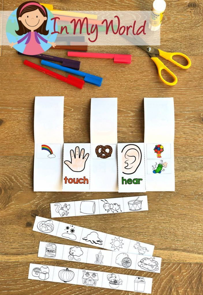 5 Senses Flip Books Worksheets In My World Flip Book 