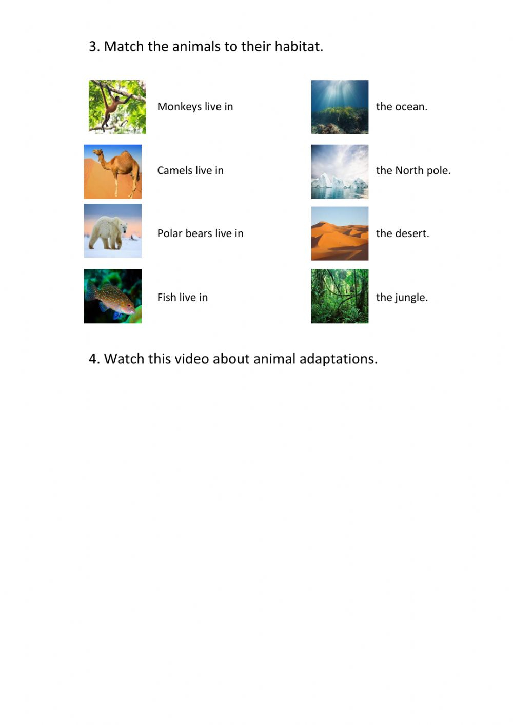 Animals Adaptations Worksheet