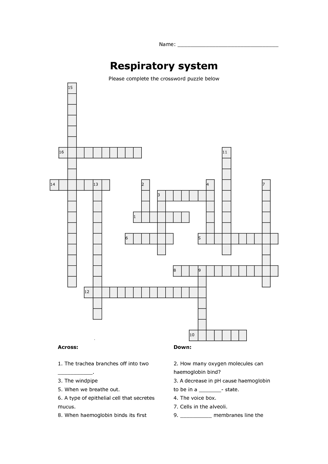 Answer Key Digestive System Crossword Puzzle Answers 