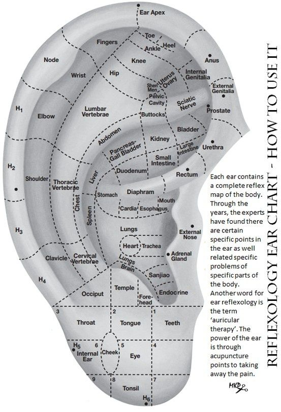 Ear Reflexology Reflexology Acupuncture