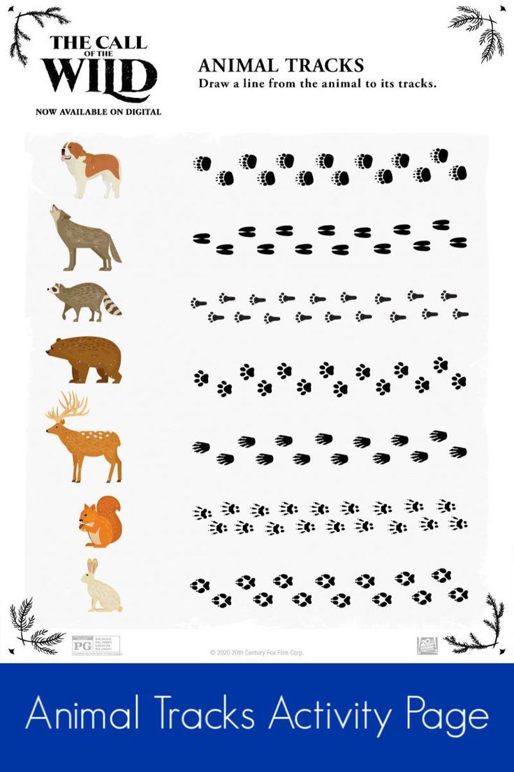 Free Printable Animal Tracks Activity Page callofthewild 