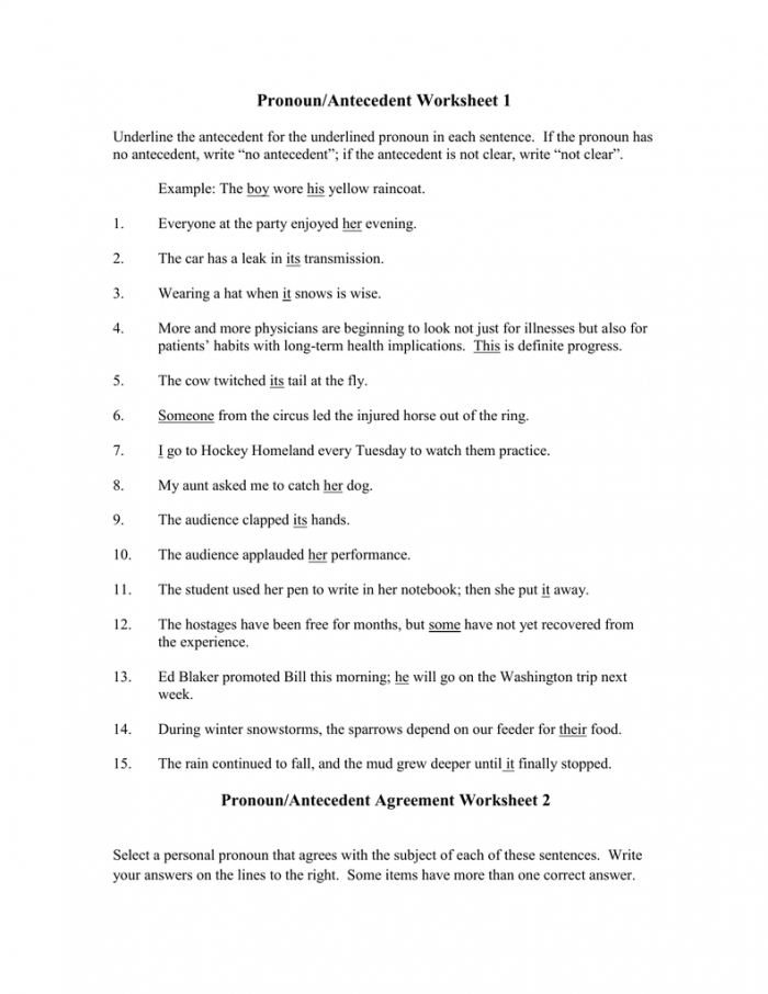 Pronoun Agreement 1 Worksheets 99Worksheets