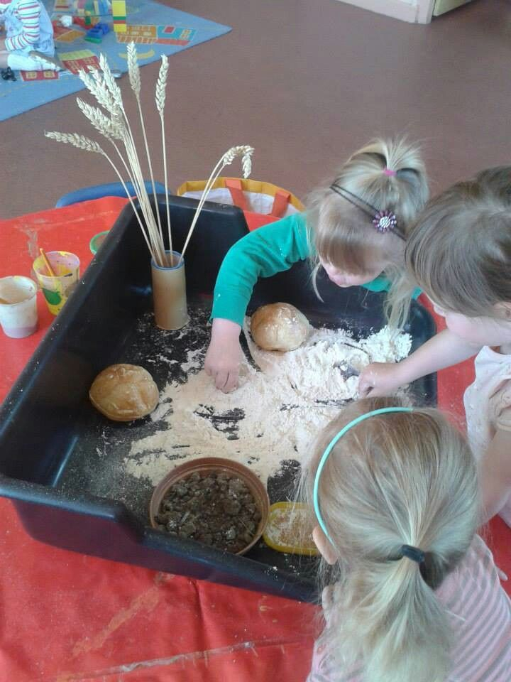 The Little Red Hen Sensory And Discovery Tray Little Red 