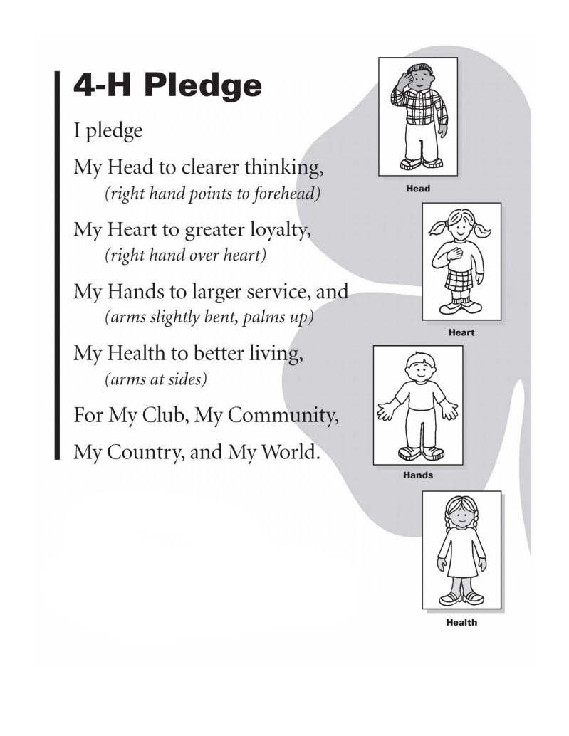 What Is 4 H Clover Craft Pledge PDF Page 3 Comal