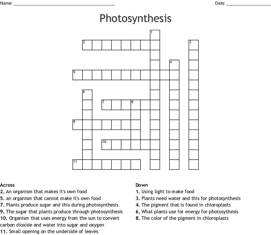 Biology Photosynthesis Crossword Puzzle Answer Key Crossword Compiler