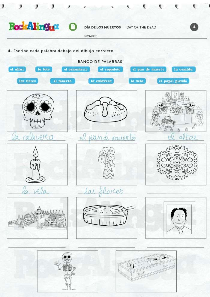 Day Of The Dead Worksheet Rockalingua Free Printable 