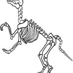Dinosaur S Bones Printable Picture To Print