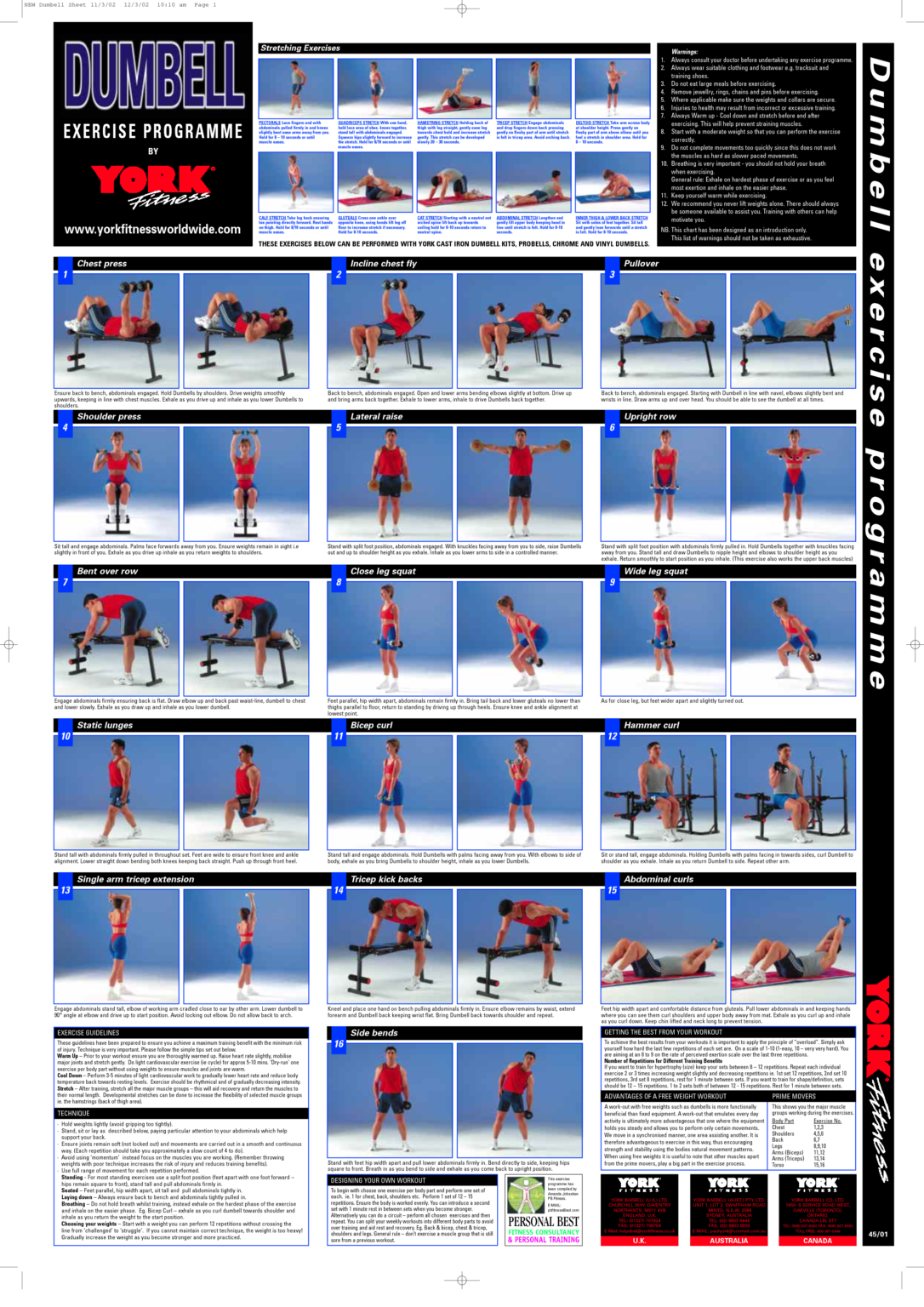 dumbbell-exercise-chart-pdf-dumbbell-workout-plan-dumbell-workout-freeprintabletm