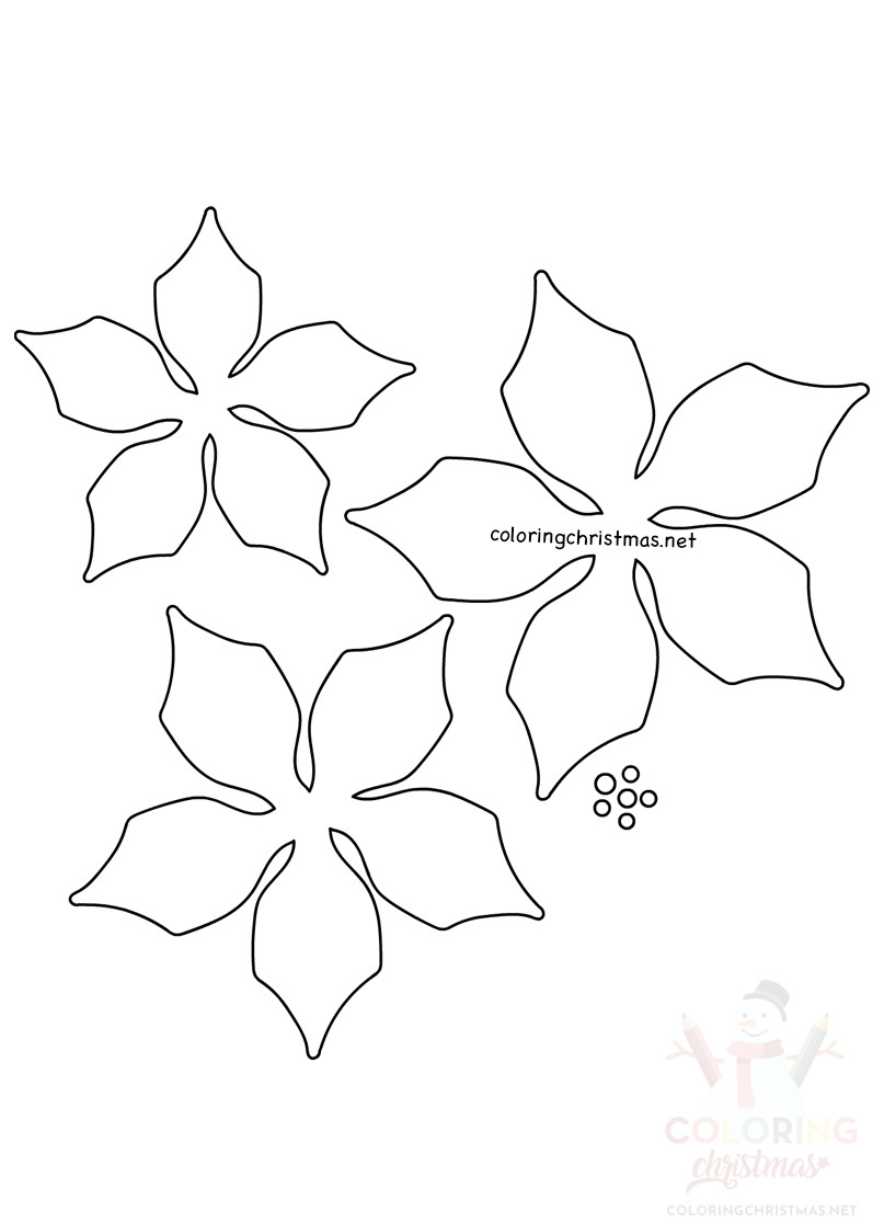 Easy Paper Poinsettia Flowers Template Coloring Christmas