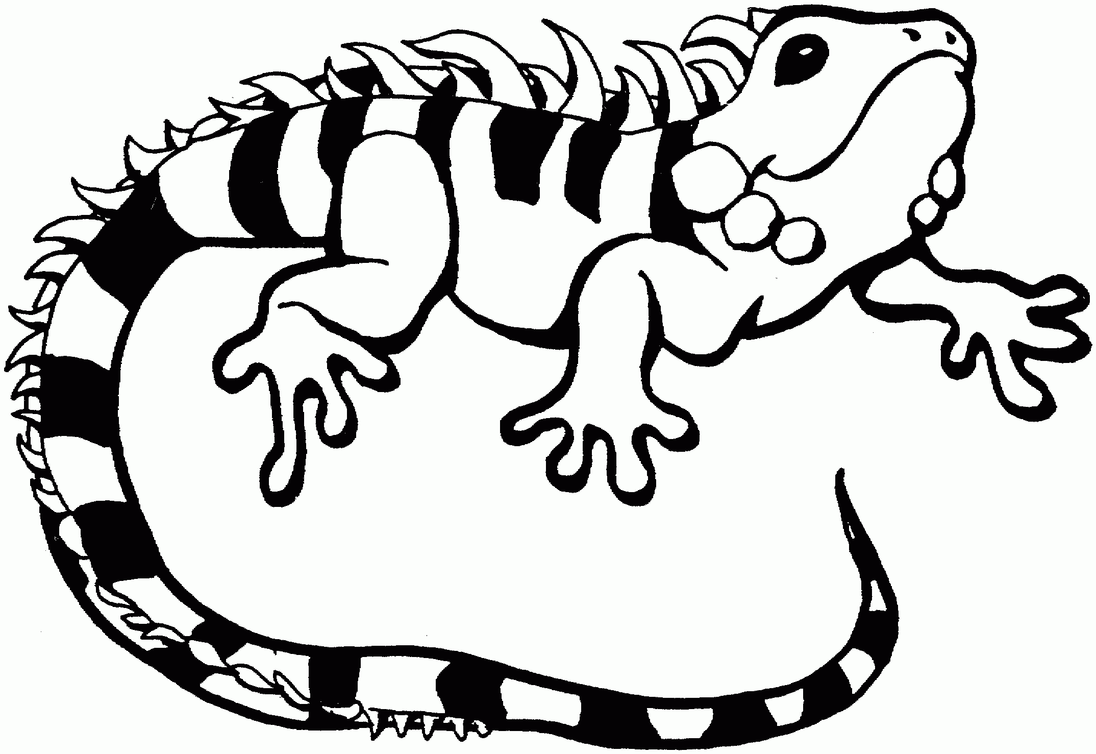 Free Lizard Coloring Pages