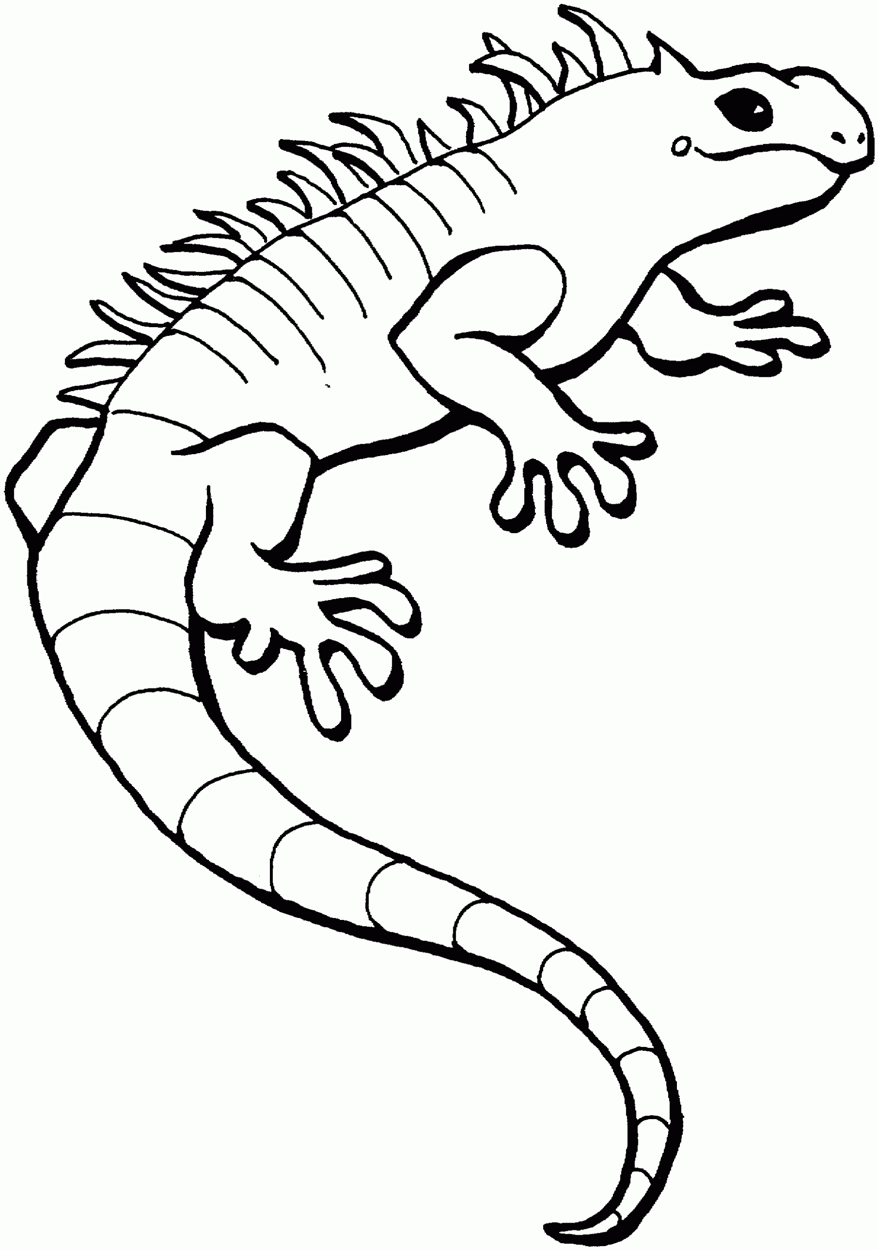 Free Lizard Coloring Pages