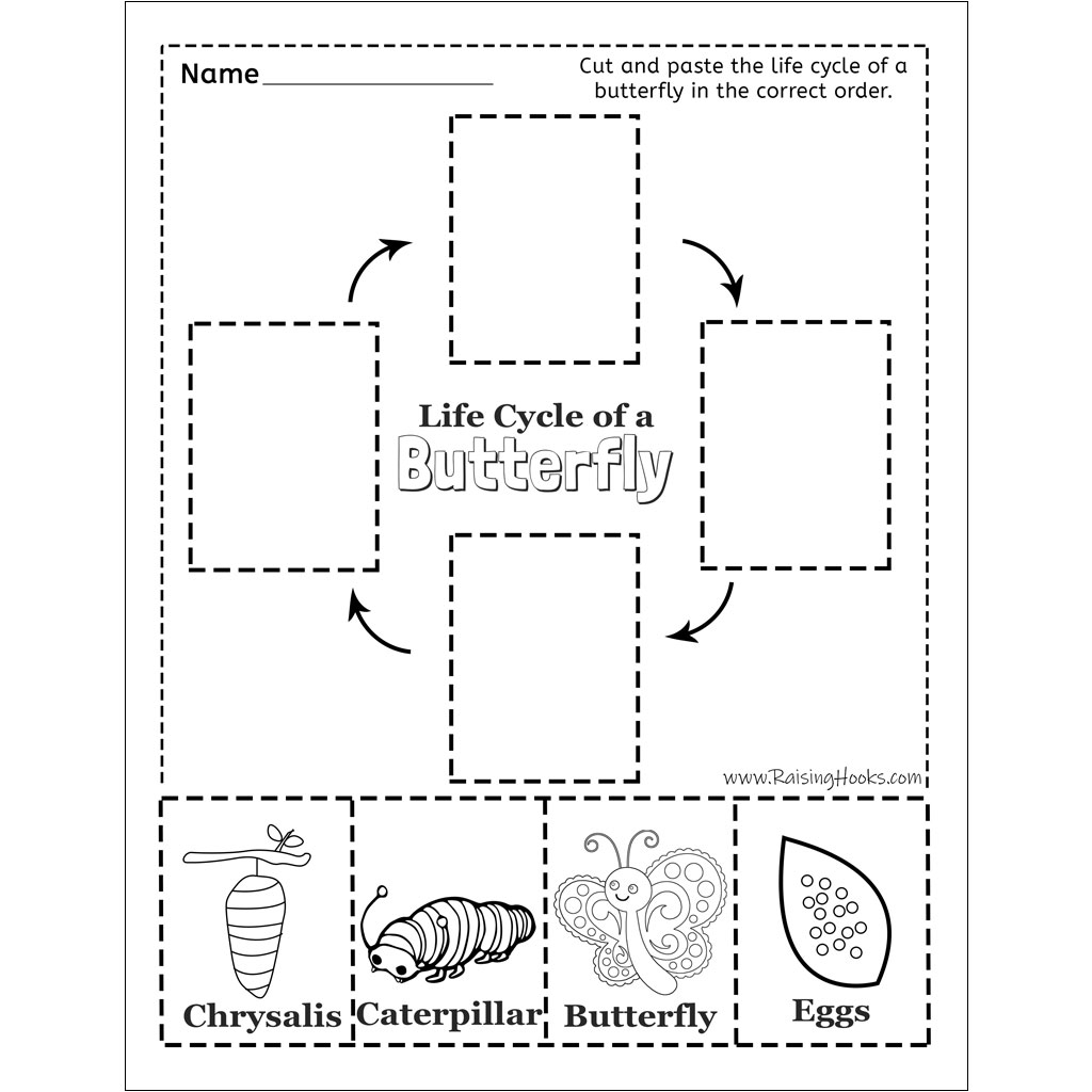 Life Cycle Of A Butterfly Cut And Paste Raising Hooks