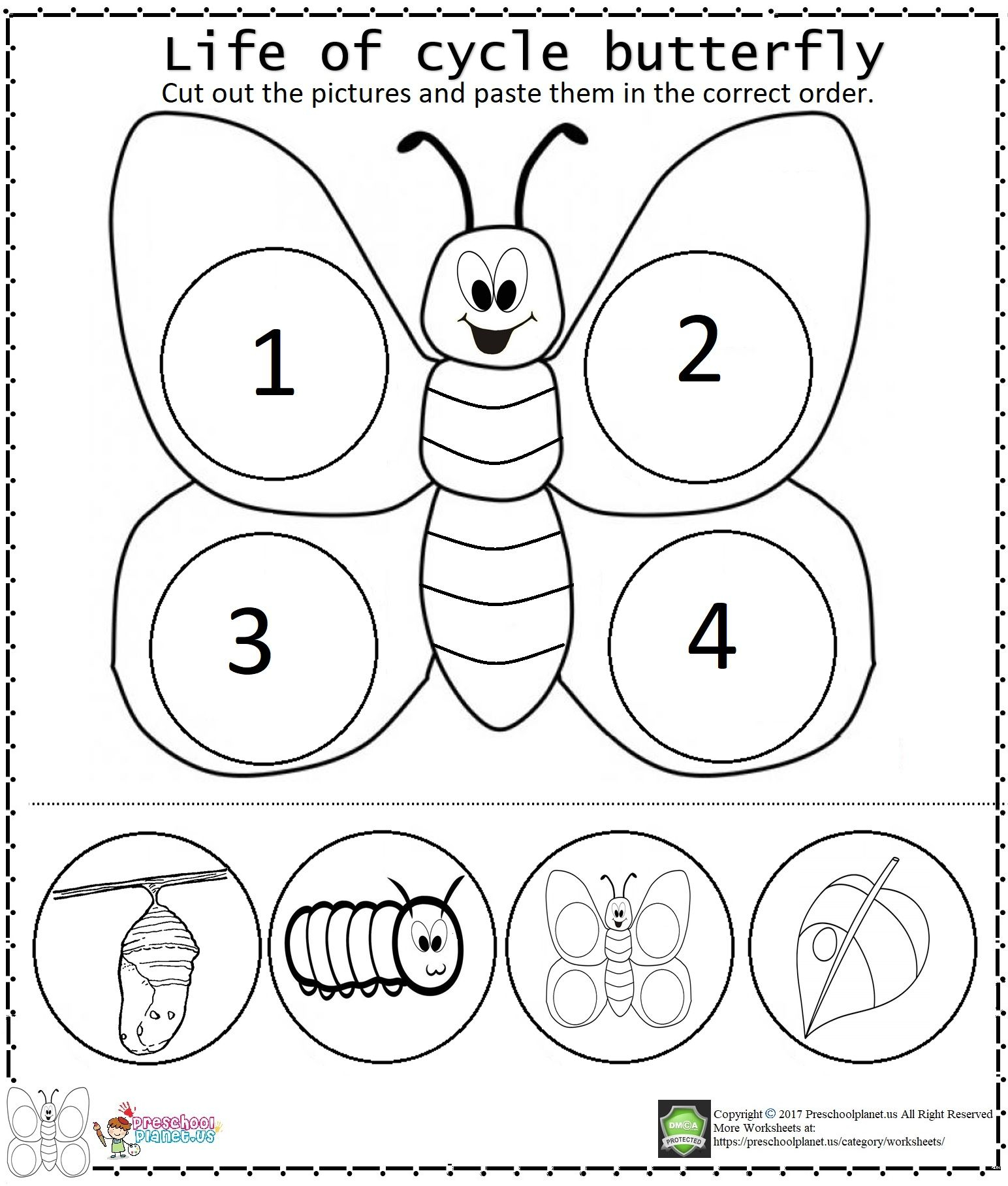 Life Of Cycle Butterfly Worksheet Butterfly Life Cycle