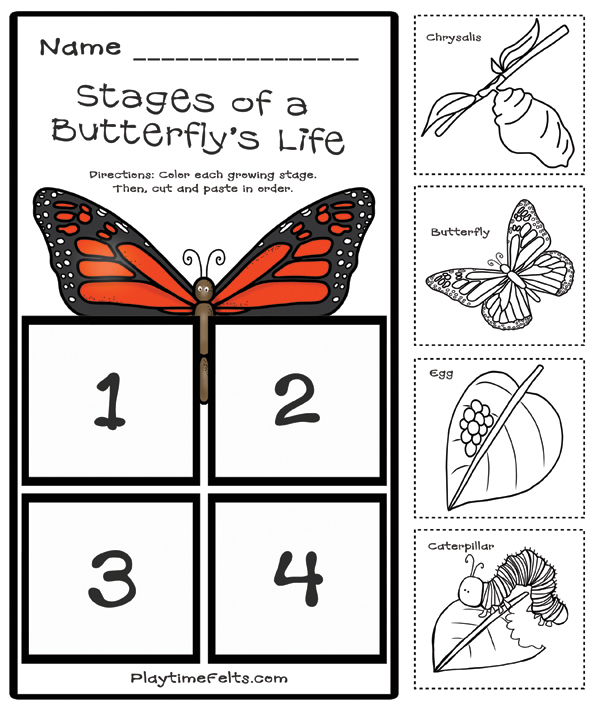 Prep Free Butterfly Life Cycle Printables For Preschool